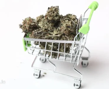 This image shows the cannabis delivery software